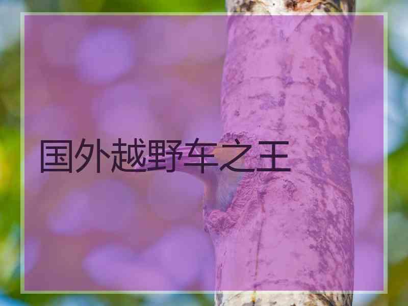 国外越野车之王