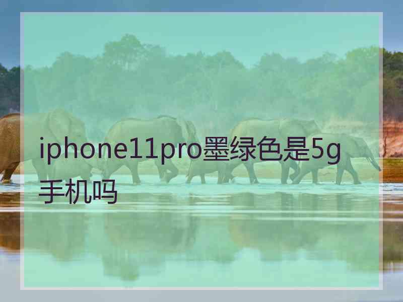 iphone11pro墨绿色是5g手机吗
