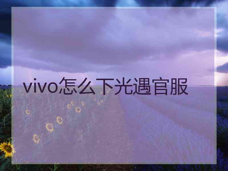 vivo怎么下光遇官服