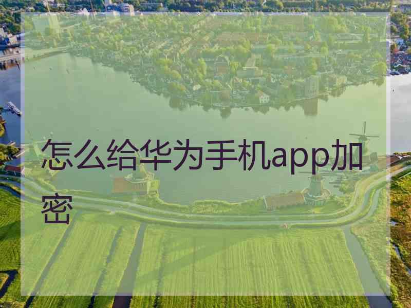 怎么给华为手机app加密