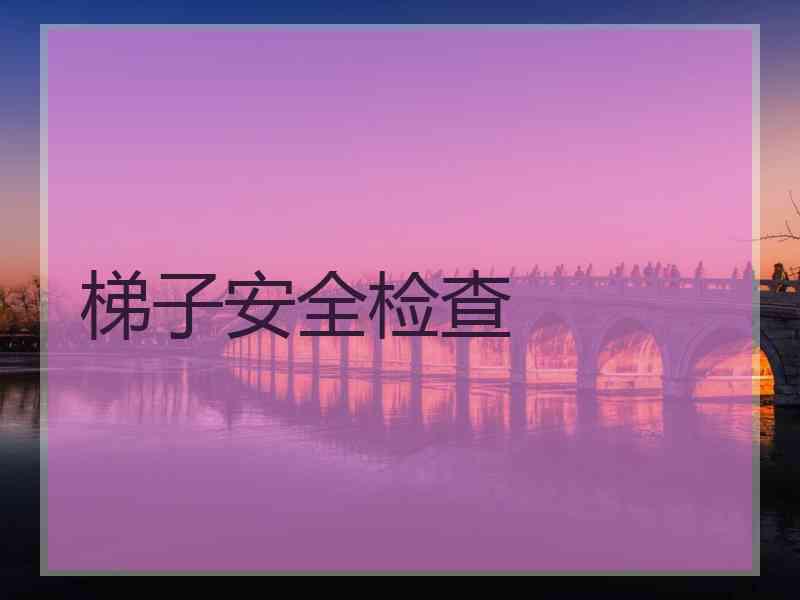 梯子安全检查