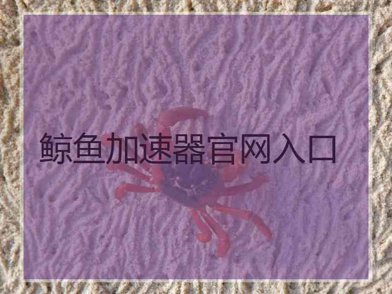 鲸鱼加速器官网入口