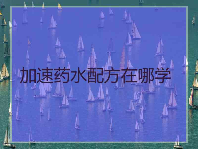 加速药水配方在哪学