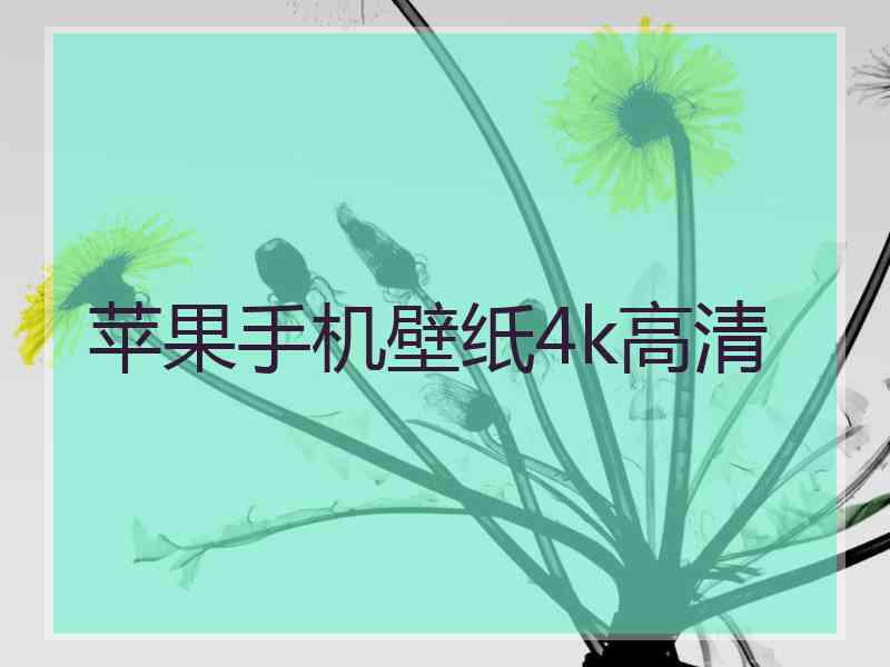 苹果手机壁纸4k高清