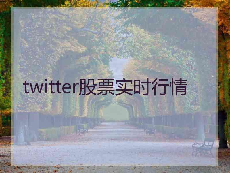 twitter股票实时行情