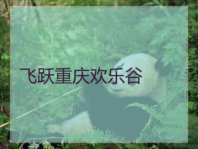 飞跃重庆欢乐谷