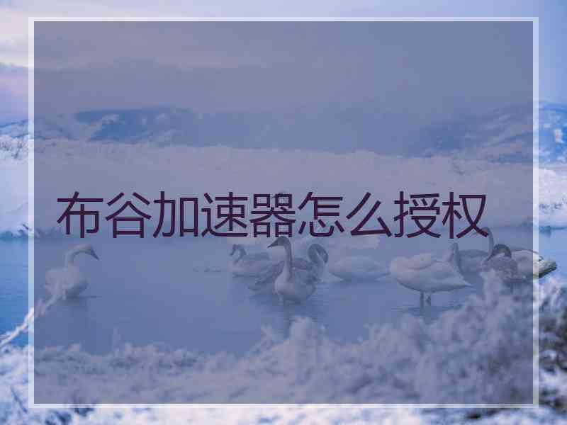 布谷加速器怎么授权