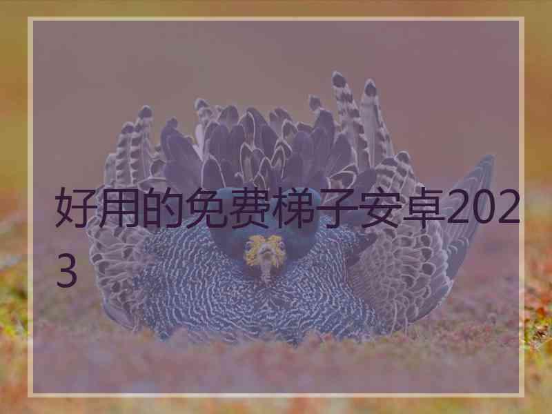 好用的免费梯子安卓2023