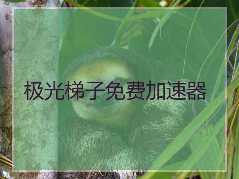 极光梯子免费加速器