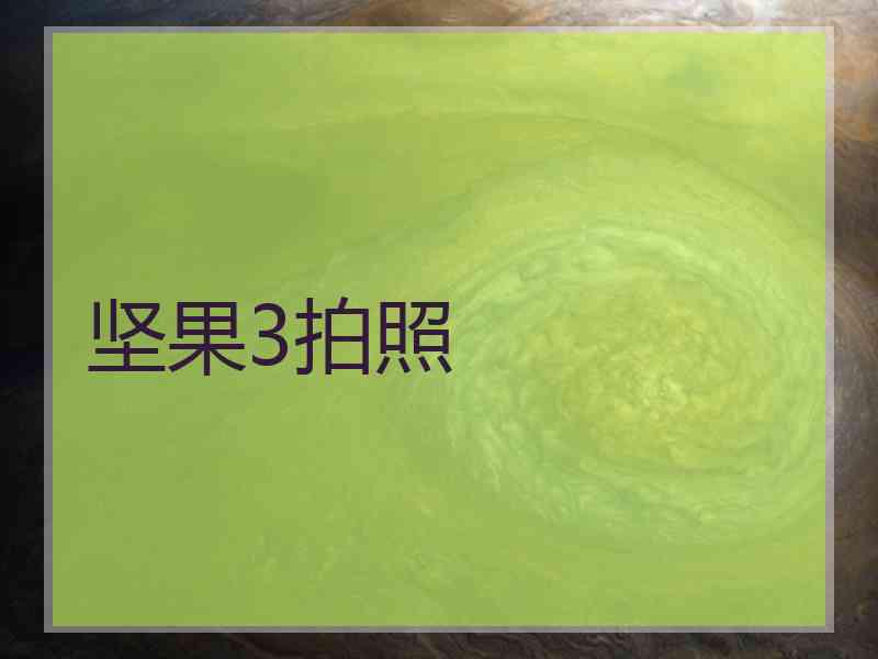 坚果3拍照