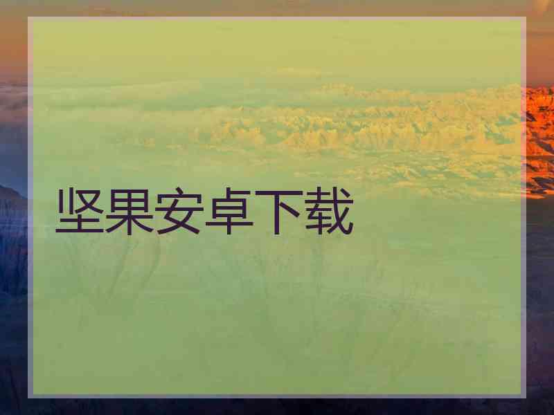 坚果安卓下载