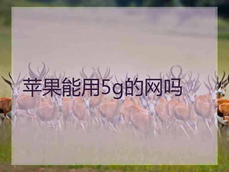 苹果能用5g的网吗