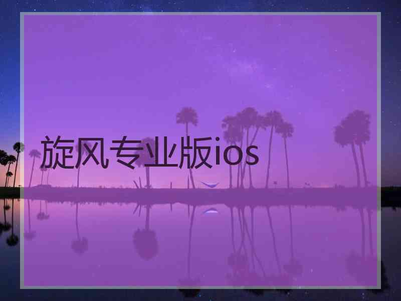 旋风专业版ios