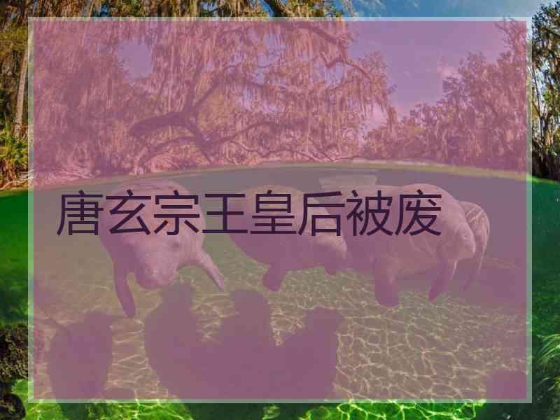 唐玄宗王皇后被废