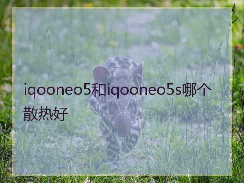 iqooneo5和iqooneo5s哪个散热好
