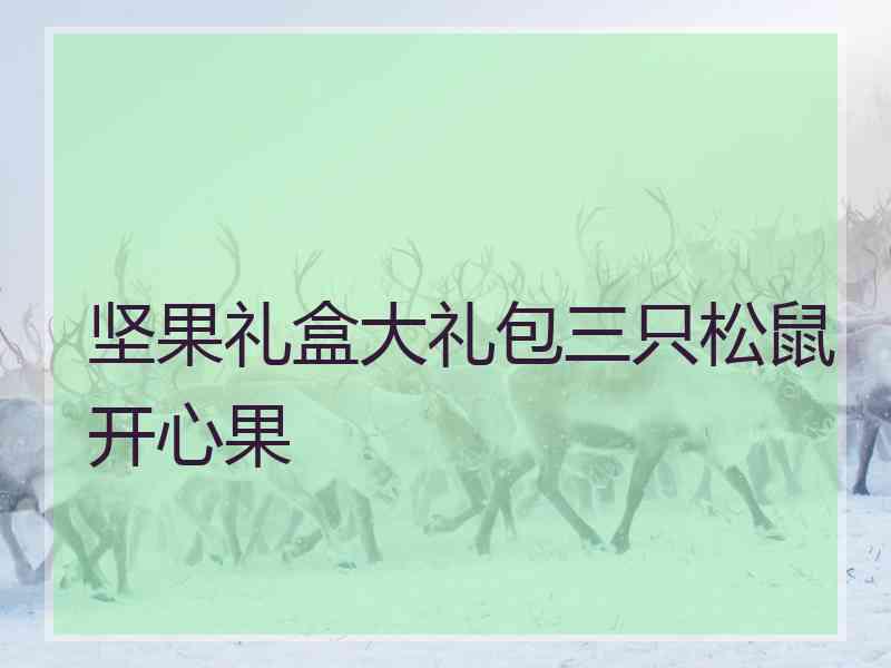坚果礼盒大礼包三只松鼠开心果