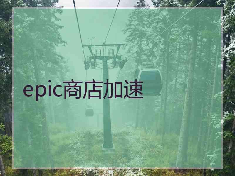 epic商店加速