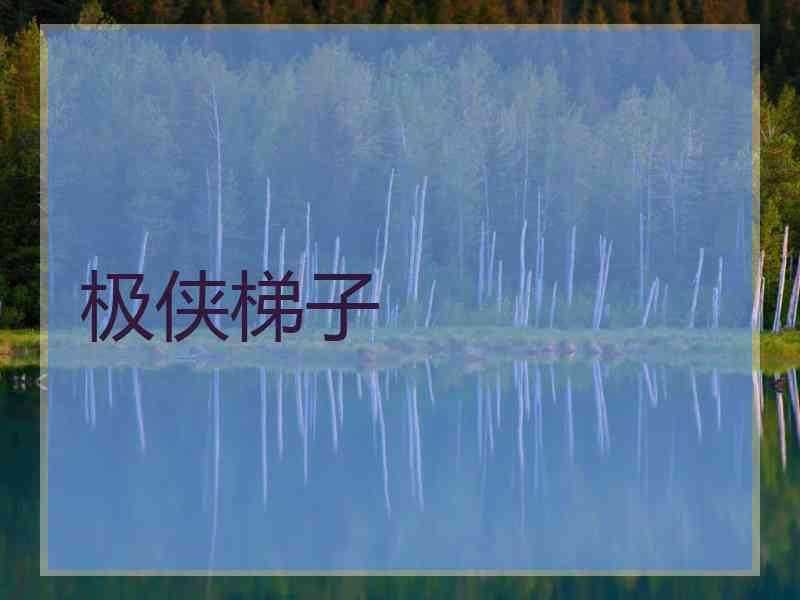 极侠梯子