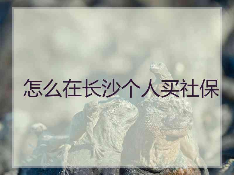 怎么在长沙个人买社保