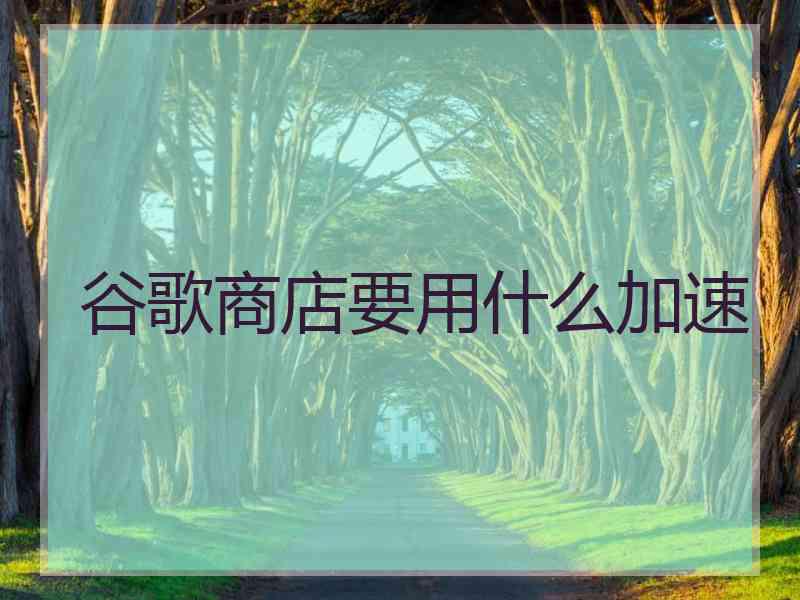谷歌商店要用什么加速