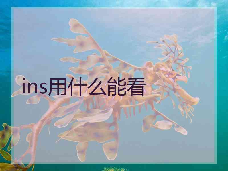 ins用什么能看