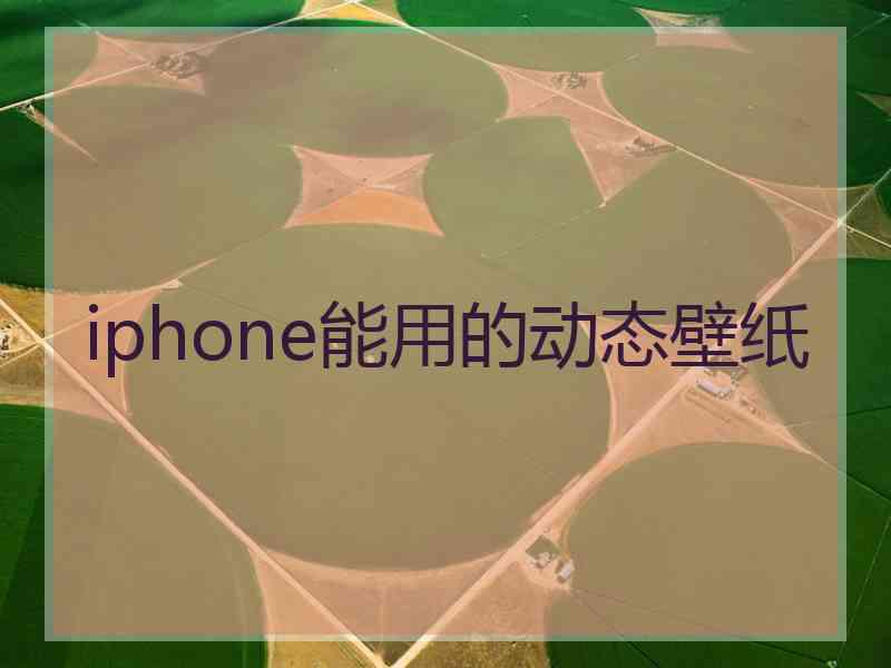 iphone能用的动态壁纸