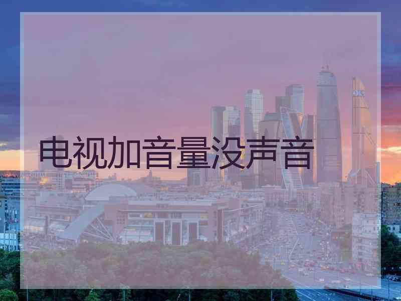 电视加音量没声音