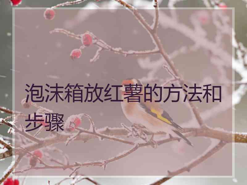 泡沫箱放红薯的方法和步骤