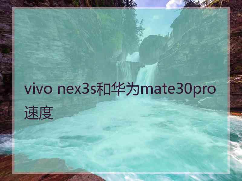 vivo nex3s和华为mate30pro速度