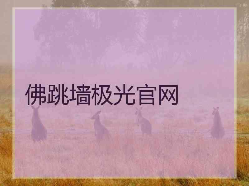 佛跳墙极光官网