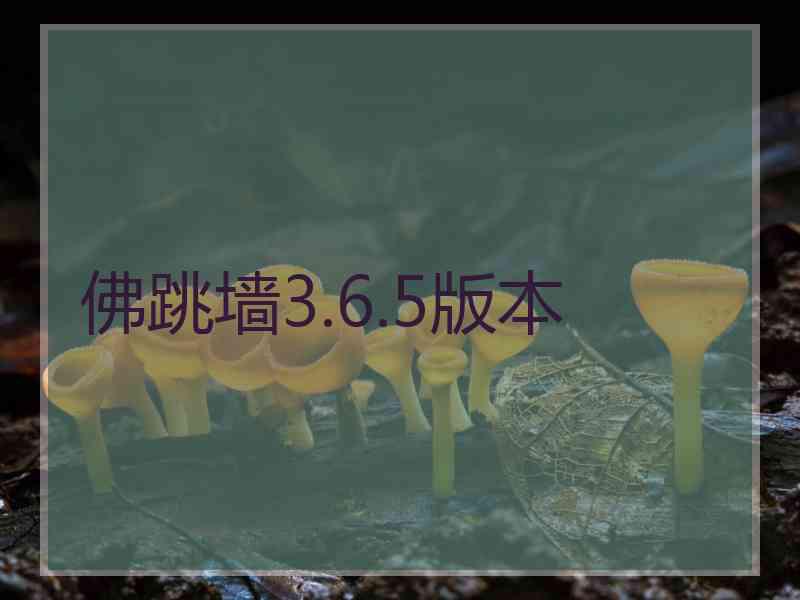 佛跳墙3.6.5版本
