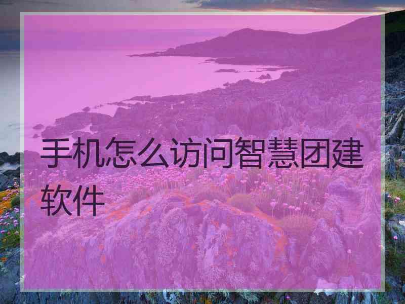 手机怎么访问智慧团建软件