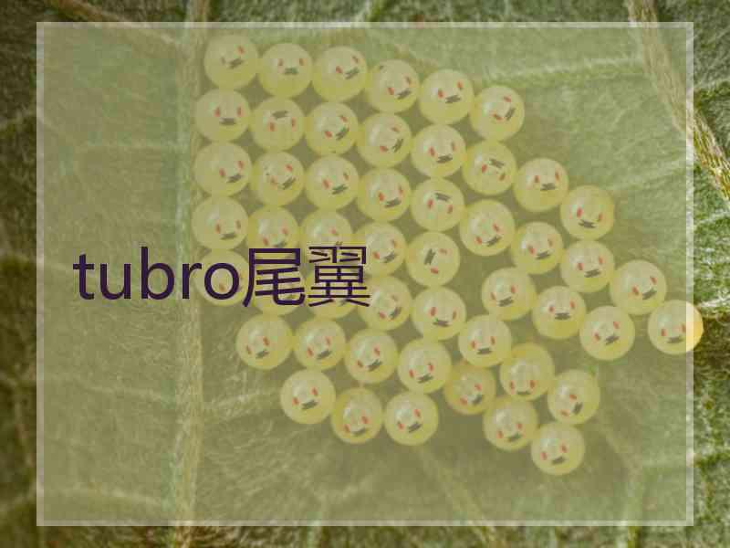 tubro尾翼