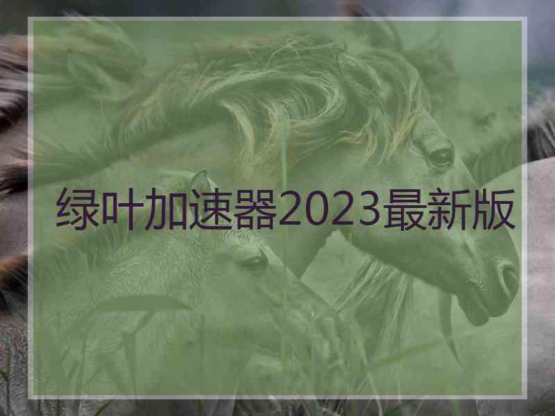 绿叶加速器2023最新版