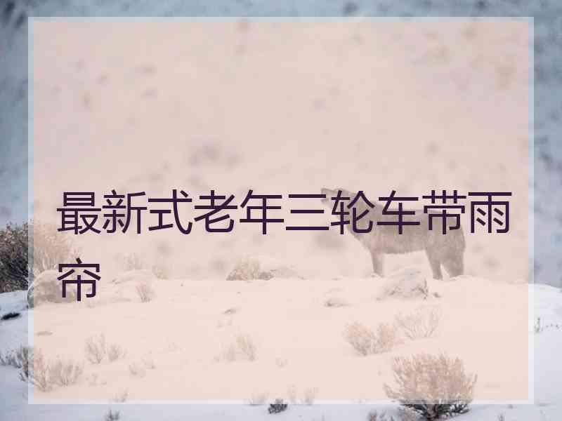 最新式老年三轮车带雨帘