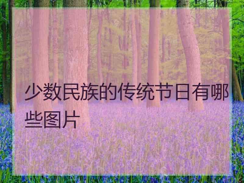 少数民族的传统节日有哪些图片