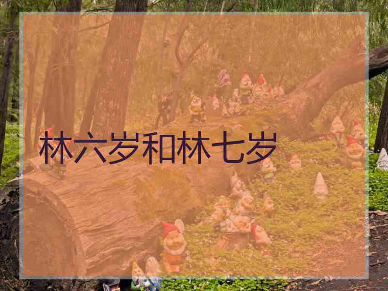 林六岁和林七岁