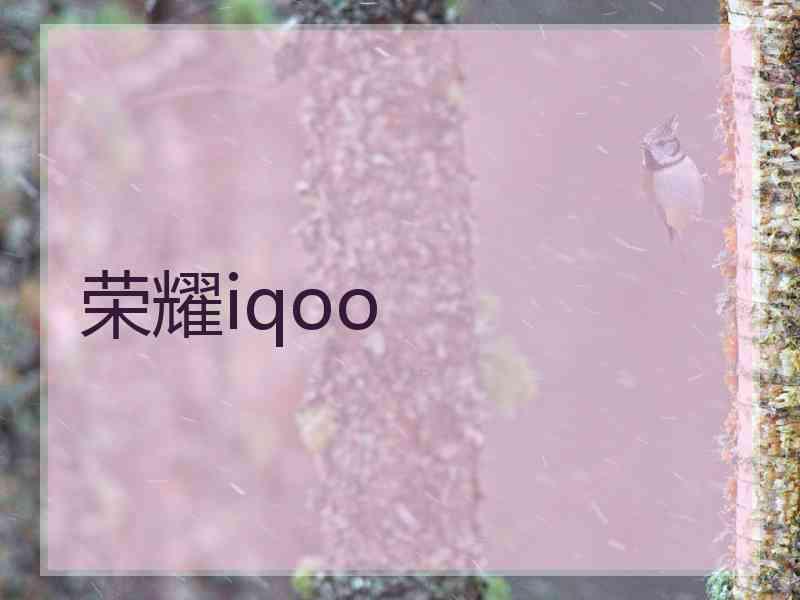 荣耀iqoo