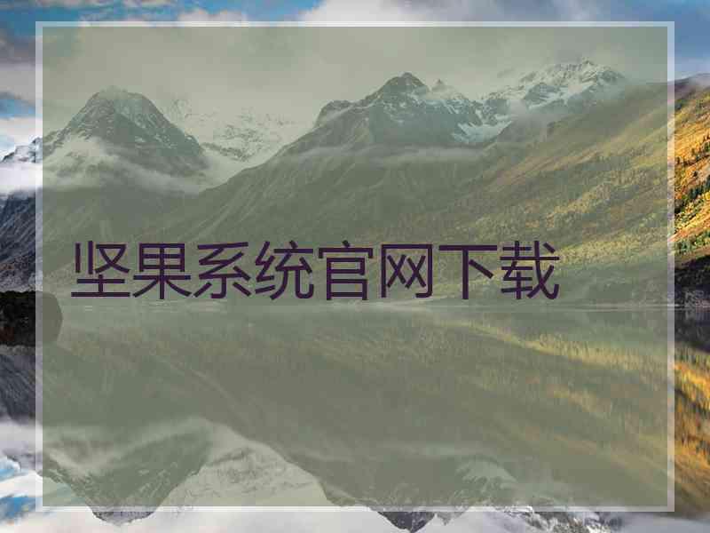 坚果系统官网下载