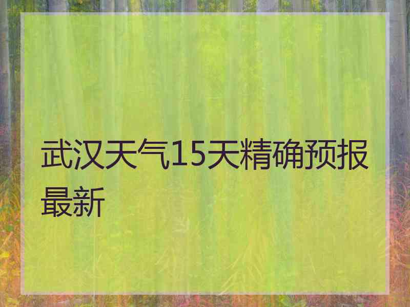 武汉天气15天精确预报最新