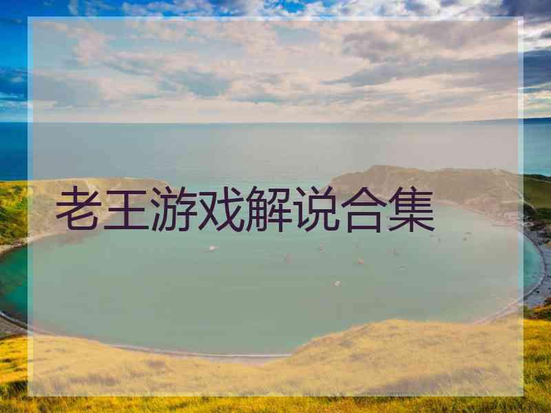 老王游戏解说合集