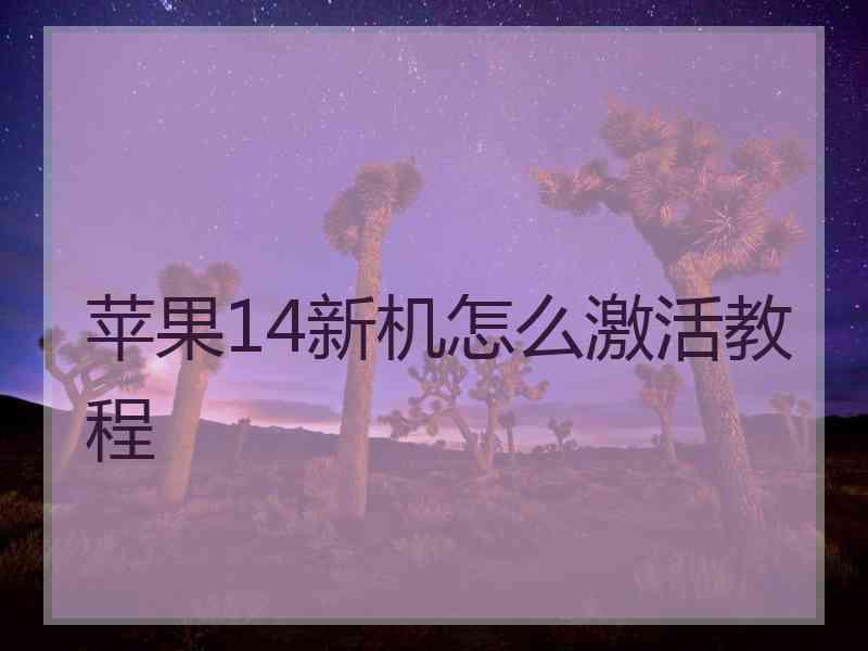 苹果14新机怎么激活教程