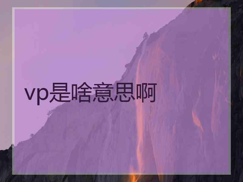 vp是啥意思啊