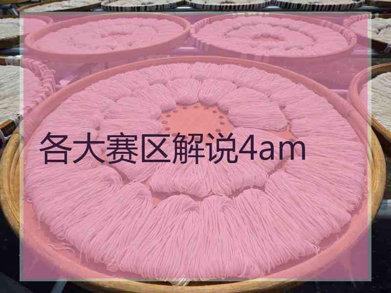 各大赛区解说4am