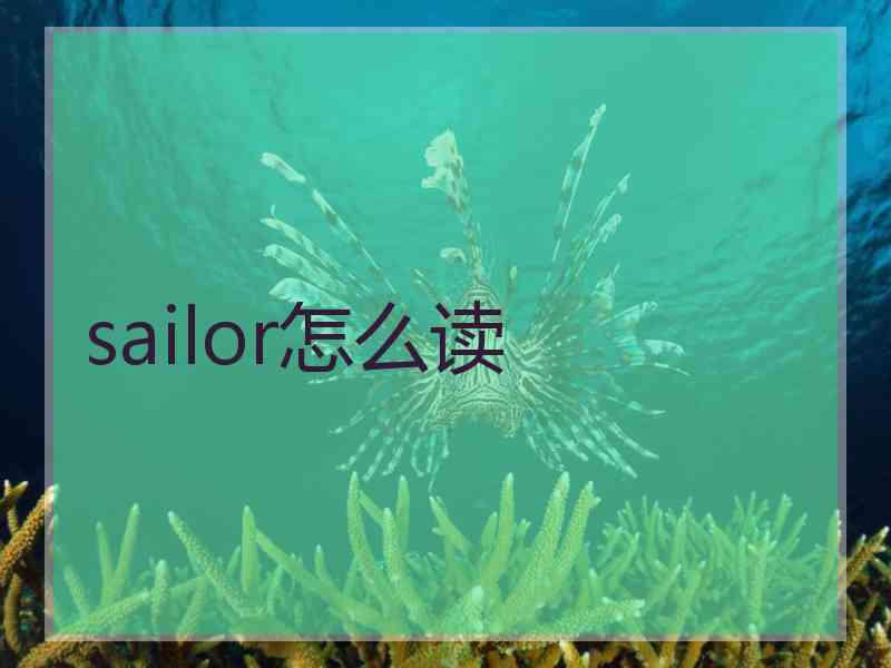 sailor怎么读
