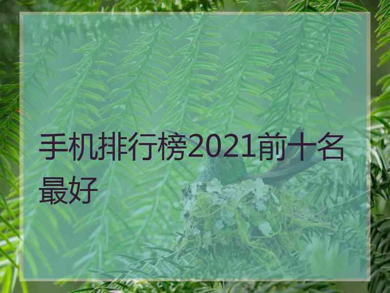 手机排行榜2021前十名最好