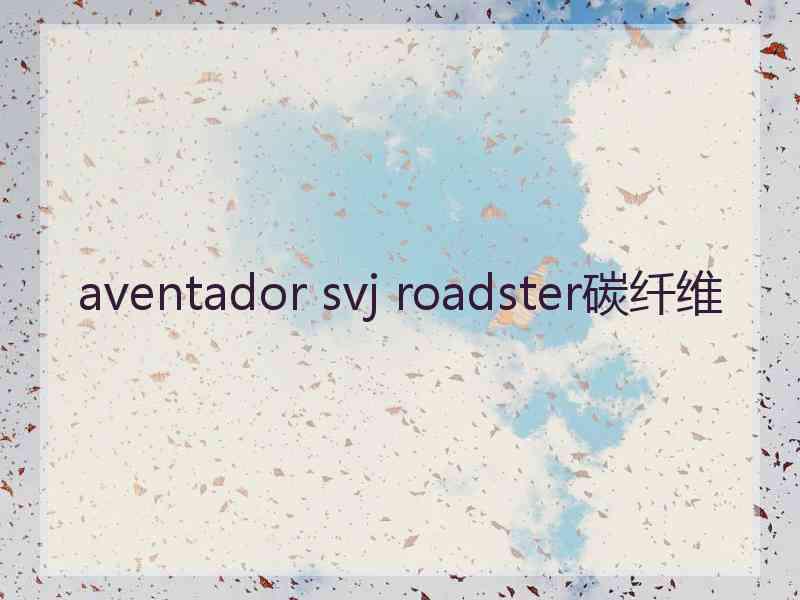 aventador svj roadster碳纤维
