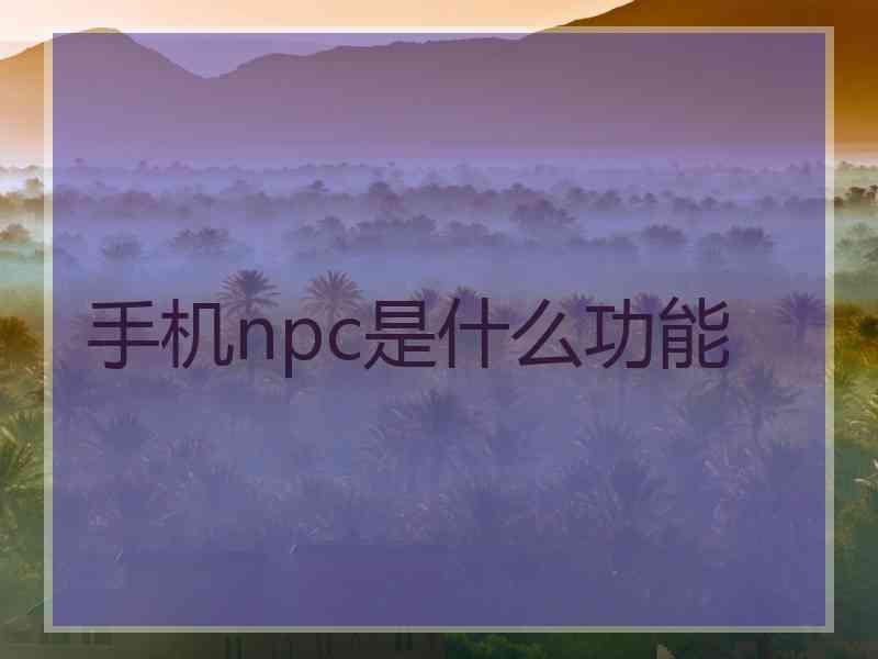 手机npc是什么功能