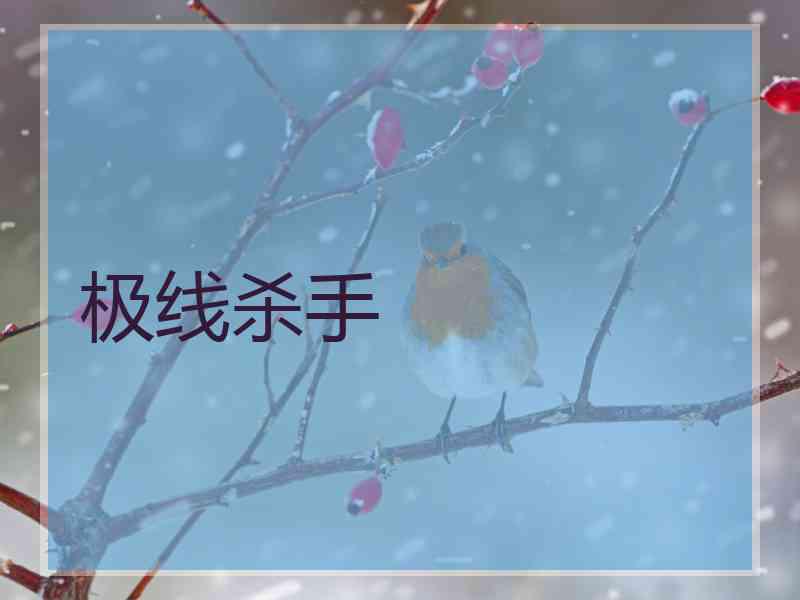 极线杀手