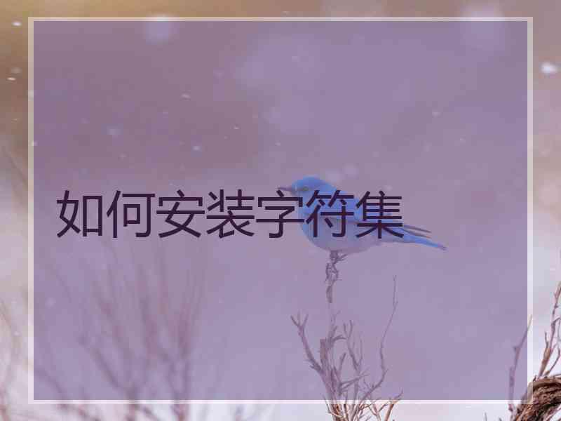 如何安装字符集